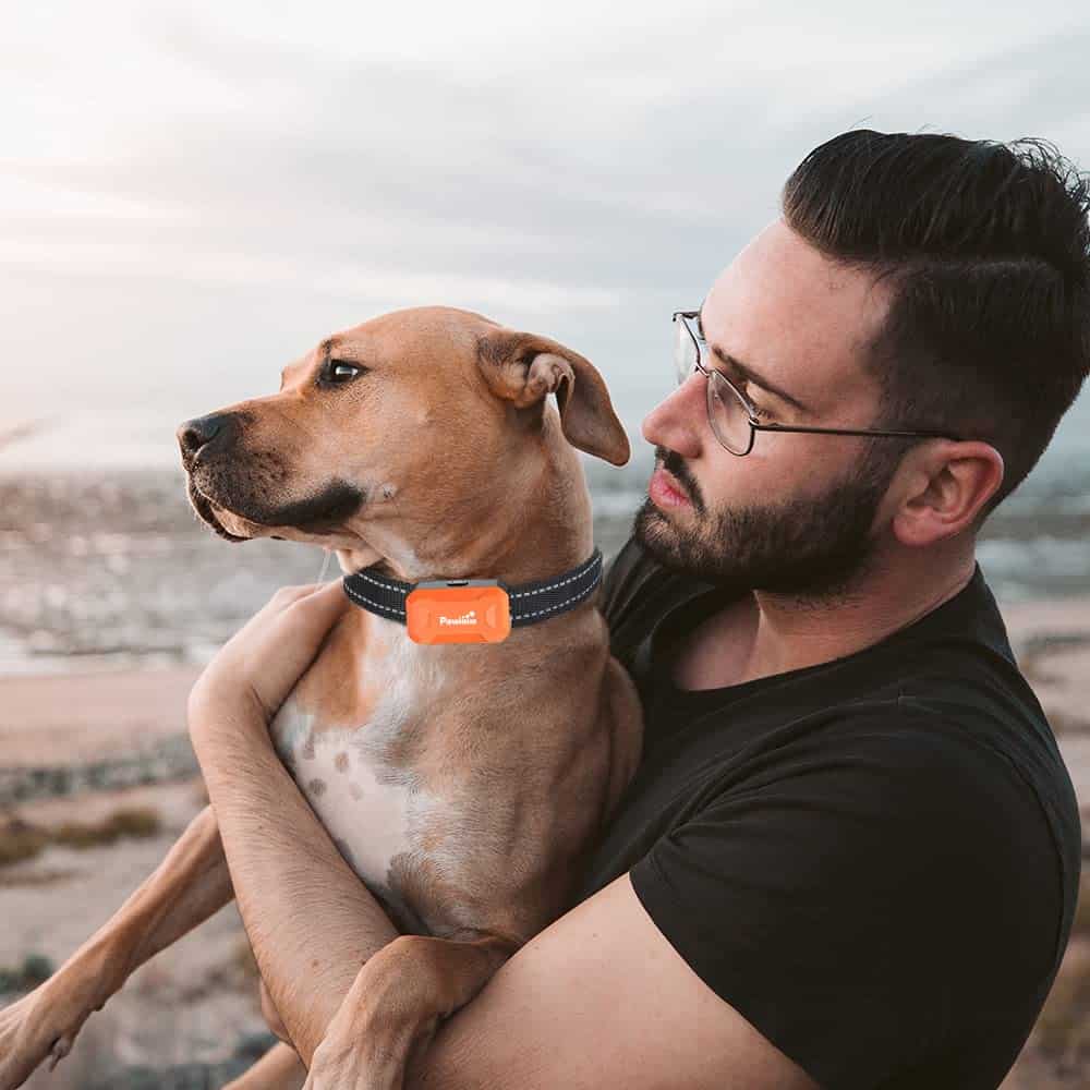 Receptor Pawious para Cerca Inalámbrica para Perros - Imagen 5