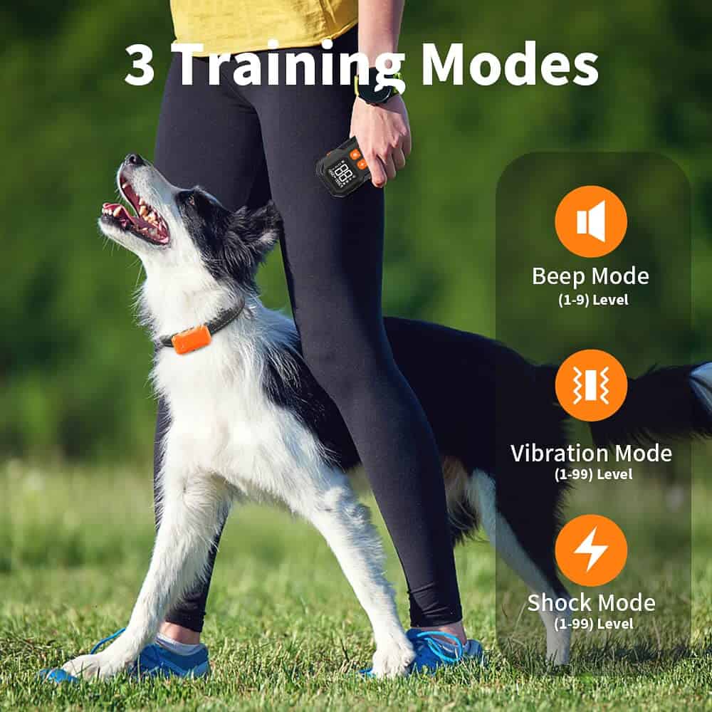 Receptor Pawious para Cerca Inalámbrica para Perros - Imagen 4