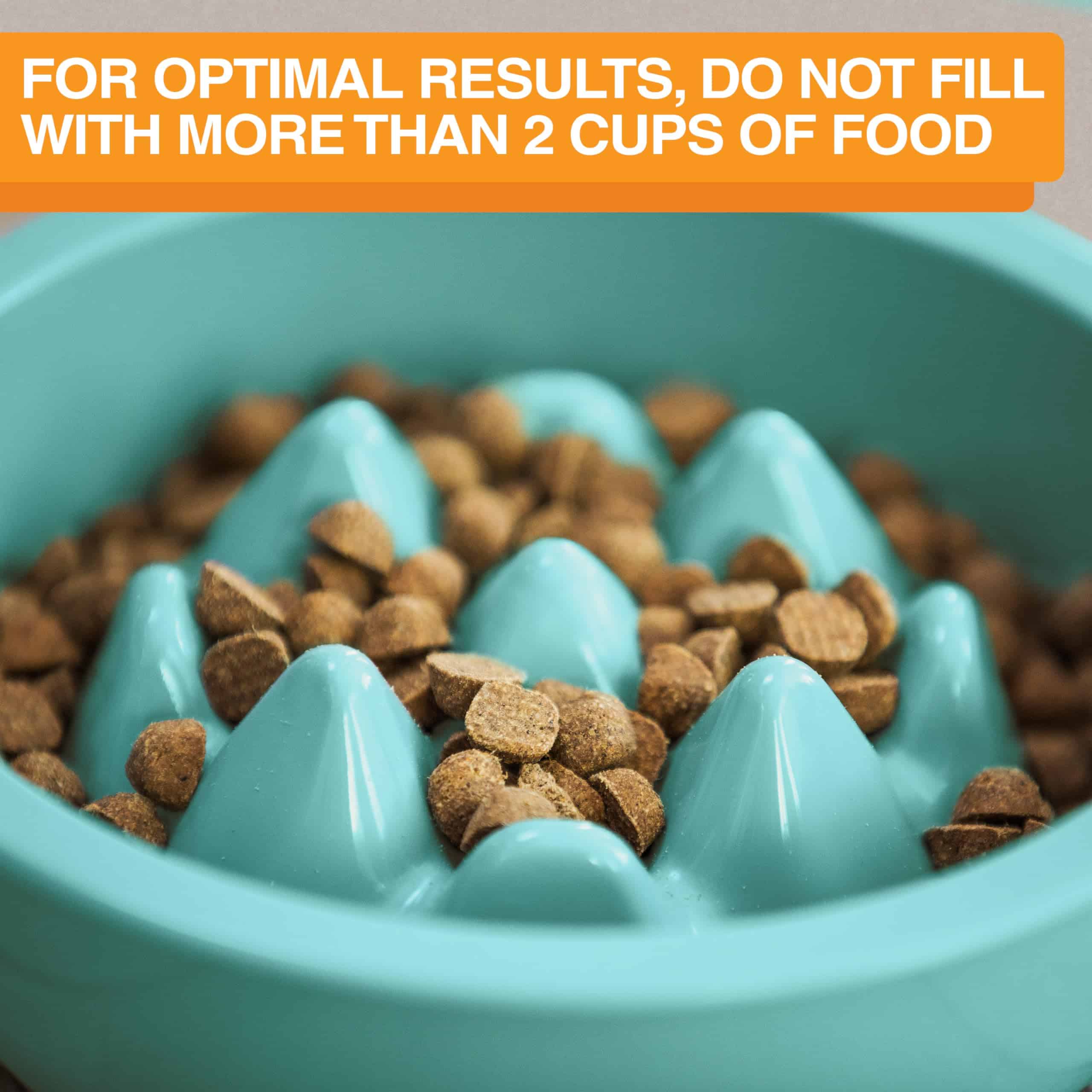 Bol Slow Feed The Niner - Eleva los Picos Ralentizan la - Imagen 7