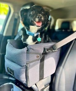 Asiento para Perro en Consola CiskaPet para Perros Pequeños