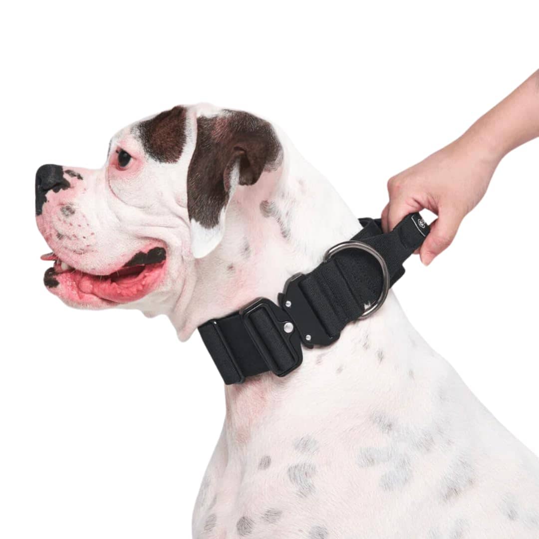 Collar Táctico para Perros Spark Paws - Collar de Calidad - Imagen 4