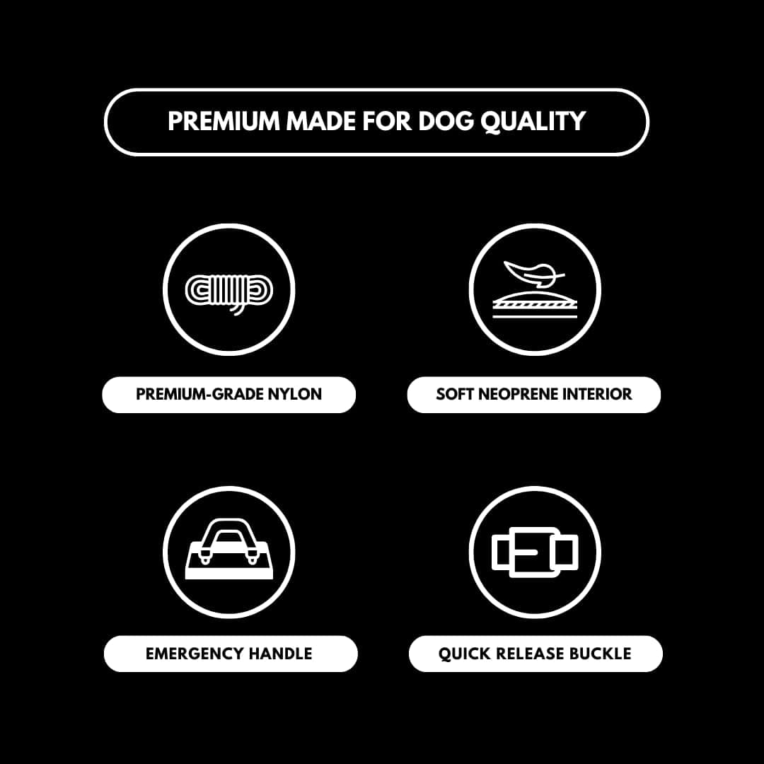 Collar Táctico para Perros Spark Paws - Collar de Calidad - Imagen 6