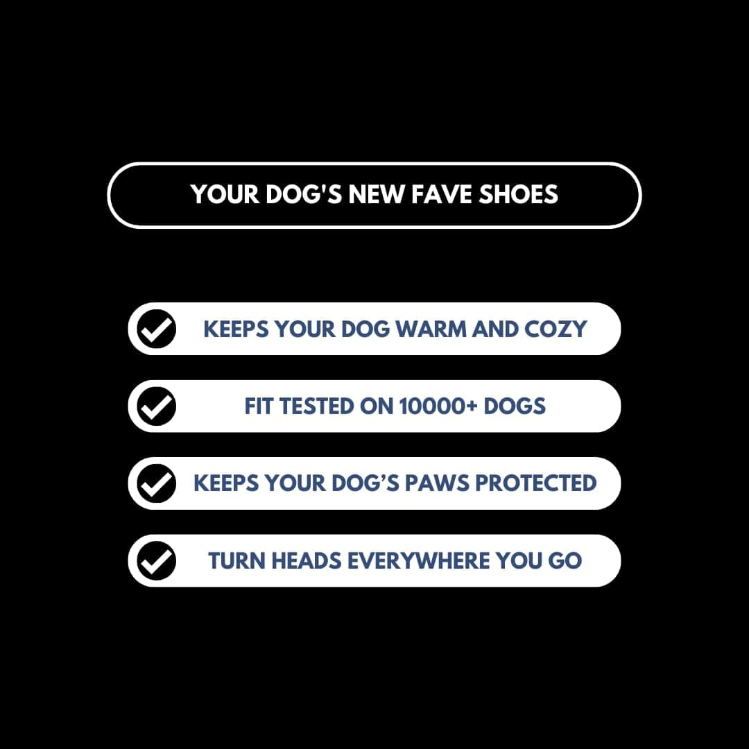 Botas para Perros Flex Shell de Spark Paws - Protección - Imagen 7