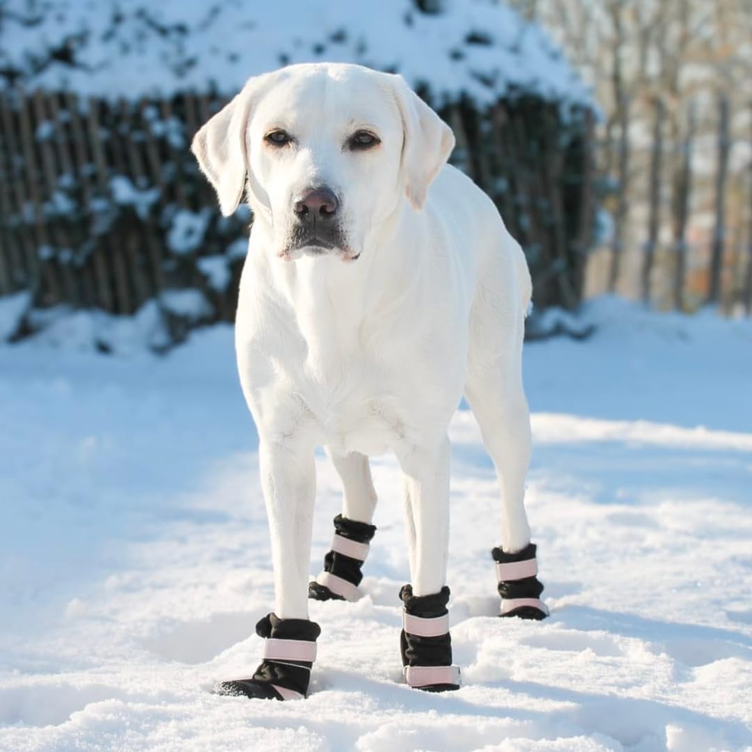 Botas para Perros Flex Shell de Spark Paws - Protección - Imagen 5