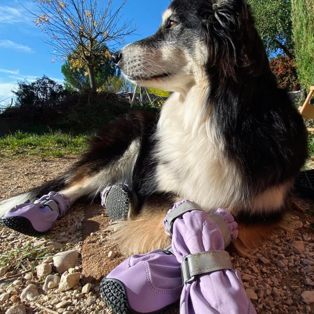 Botas para Perros Spark Paws Flex Shell - Protección para - Imagen 5