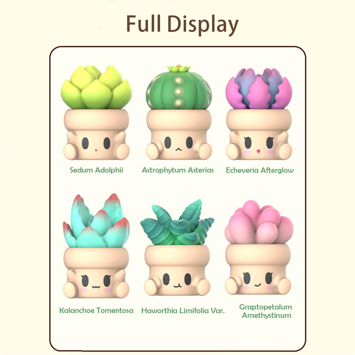 Caja Sorpresa de la Serie Aven Rabbit Hugging Succulents 2 - Imagen 4