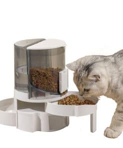 Set de Alimentador de Gravedad para Gatos, 2 en 1
