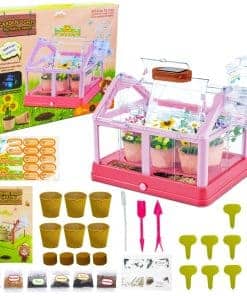 Kit de Cultivo de Plantas para Niños Invernadero Set de