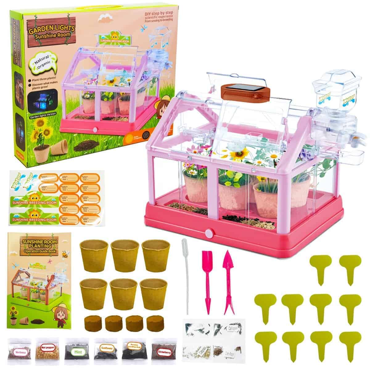 Kit de Cultivo de Plantas para Niños Invernadero Set de