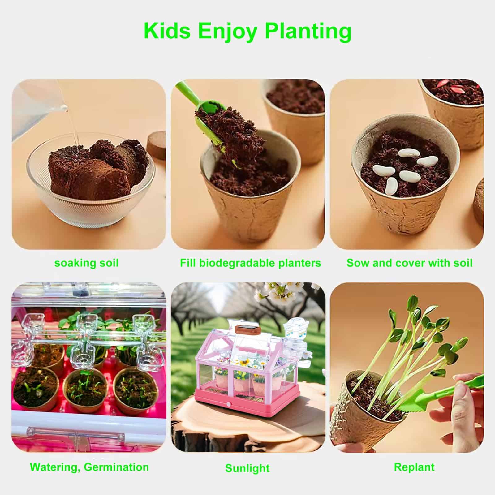 Kit de Cultivo de Plantas para Niños Invernadero Set de - Imagen 7