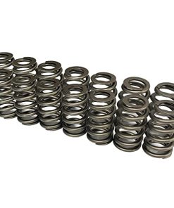 EYSENC LS Resortes de Válvulas PAC1219 Resortes de Válvulas