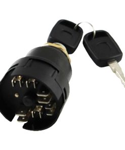 Interruptor de encendido DELEYAPARS 1001102502, Llave