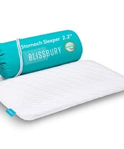 Almohada Súper Delgada de 2.2 Pulgadas -Blanco