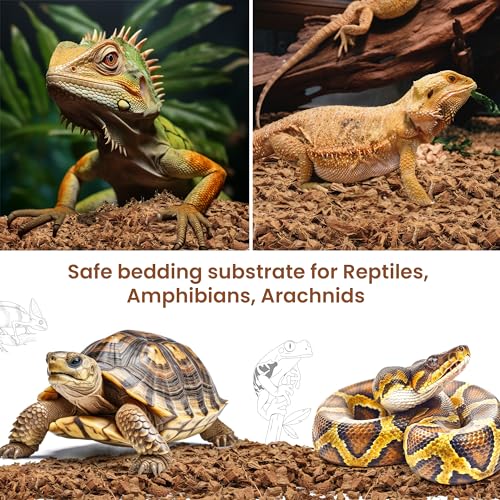 ReptiCare Coconut 12 Quartos de Lecho de Coco Orgánico - Imagen 4