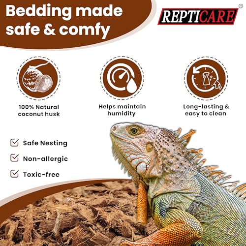 ReptiCare Coconut 12 Quartos de Lecho de Coco Orgánico - Imagen 5