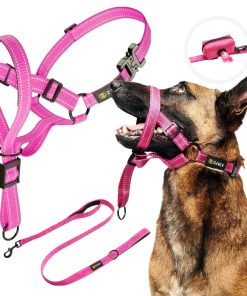 Collar de cabeza ajustable para perros Zevey con correa y