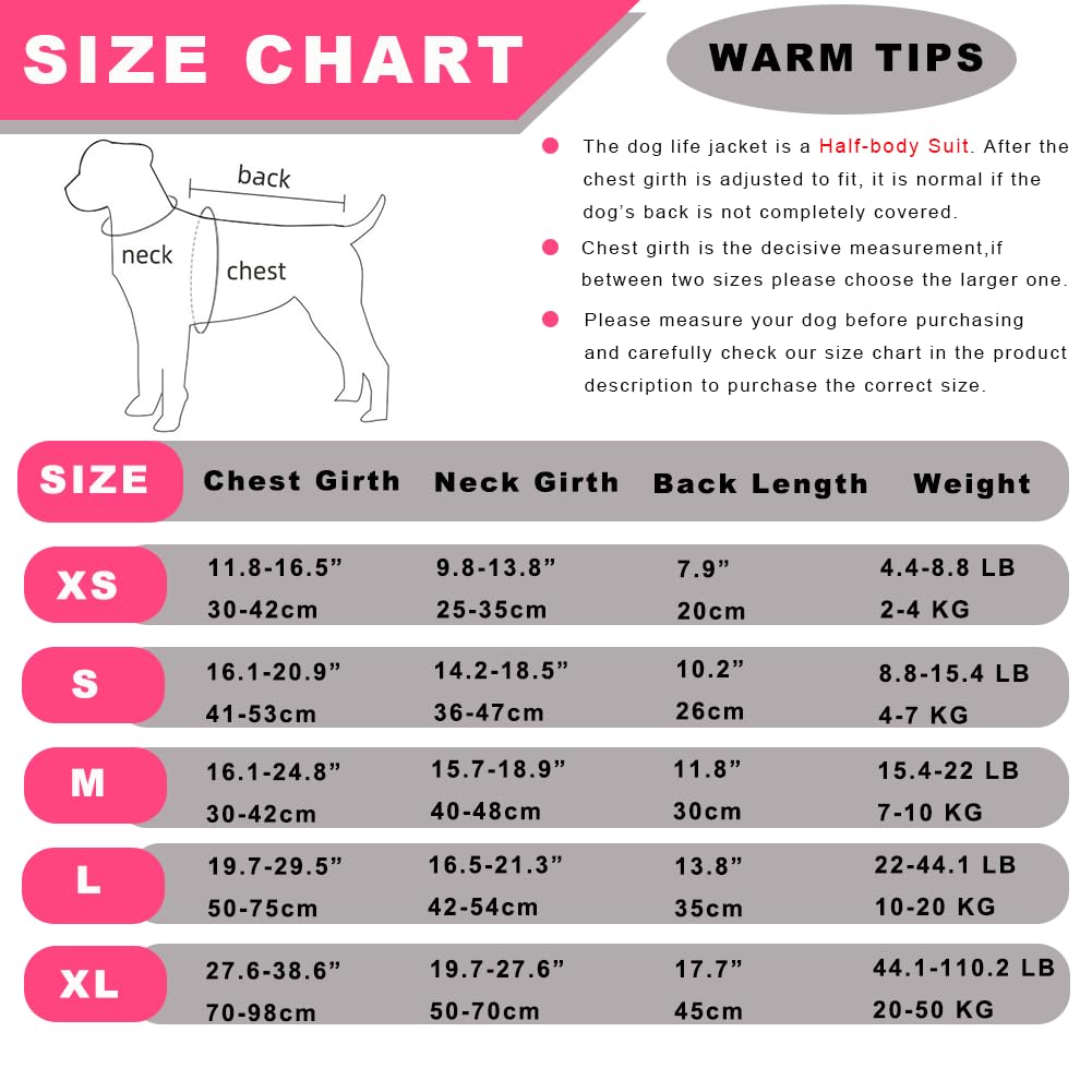 Chaleco Salvavidas para Perros Doglay, Chaleco Salvavidas - Imagen 3