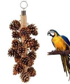 Juguetes para pájaros loros Juguetes de madera para loros