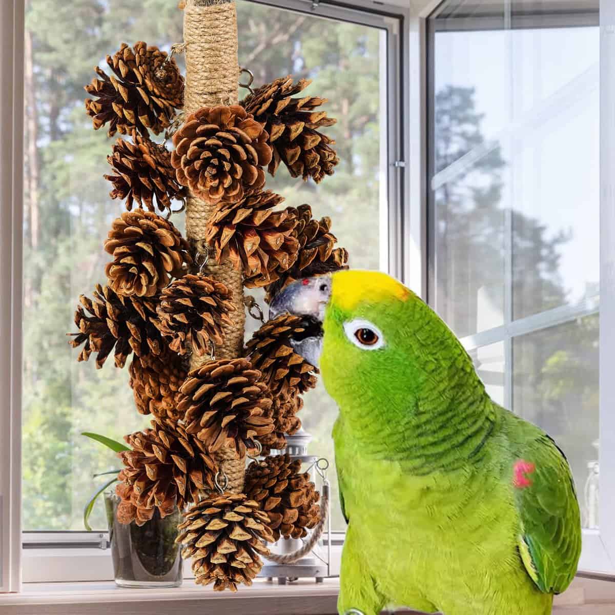 Juguetes para pájaros loros Juguetes de madera para loros - Imagen 6