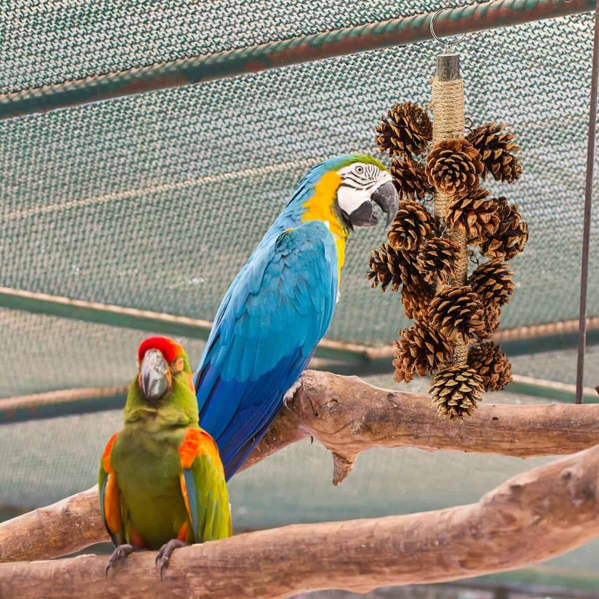 Juguetes para pájaros loros Juguetes de madera para loros - Imagen 7
