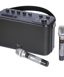 Máquina de Karaoke para Adultos y Niños con Dos Micrófonos