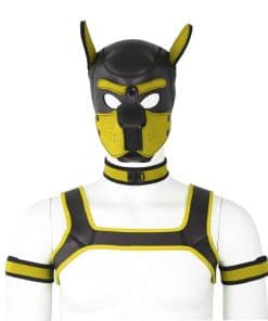 Máscara de Perro Neopreno de Rostro Completo QUYUWOWO Kit