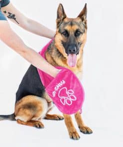 Toalla para limpieza de patas para perros Paws Up XL,