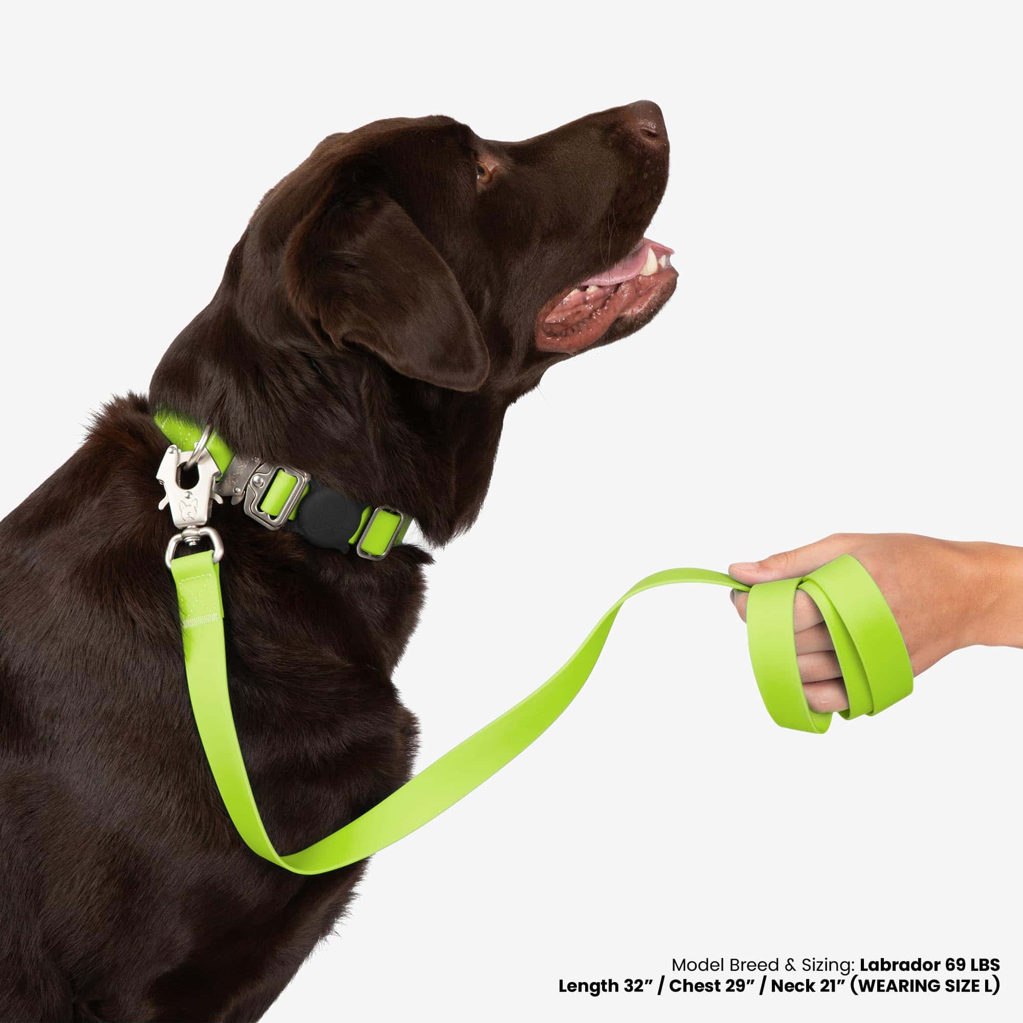 Correa para perros Nandog Pet Gear resistente al agua - Imagen 5