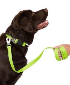 Correa para perros Nandog Pet Gear resistente al agua