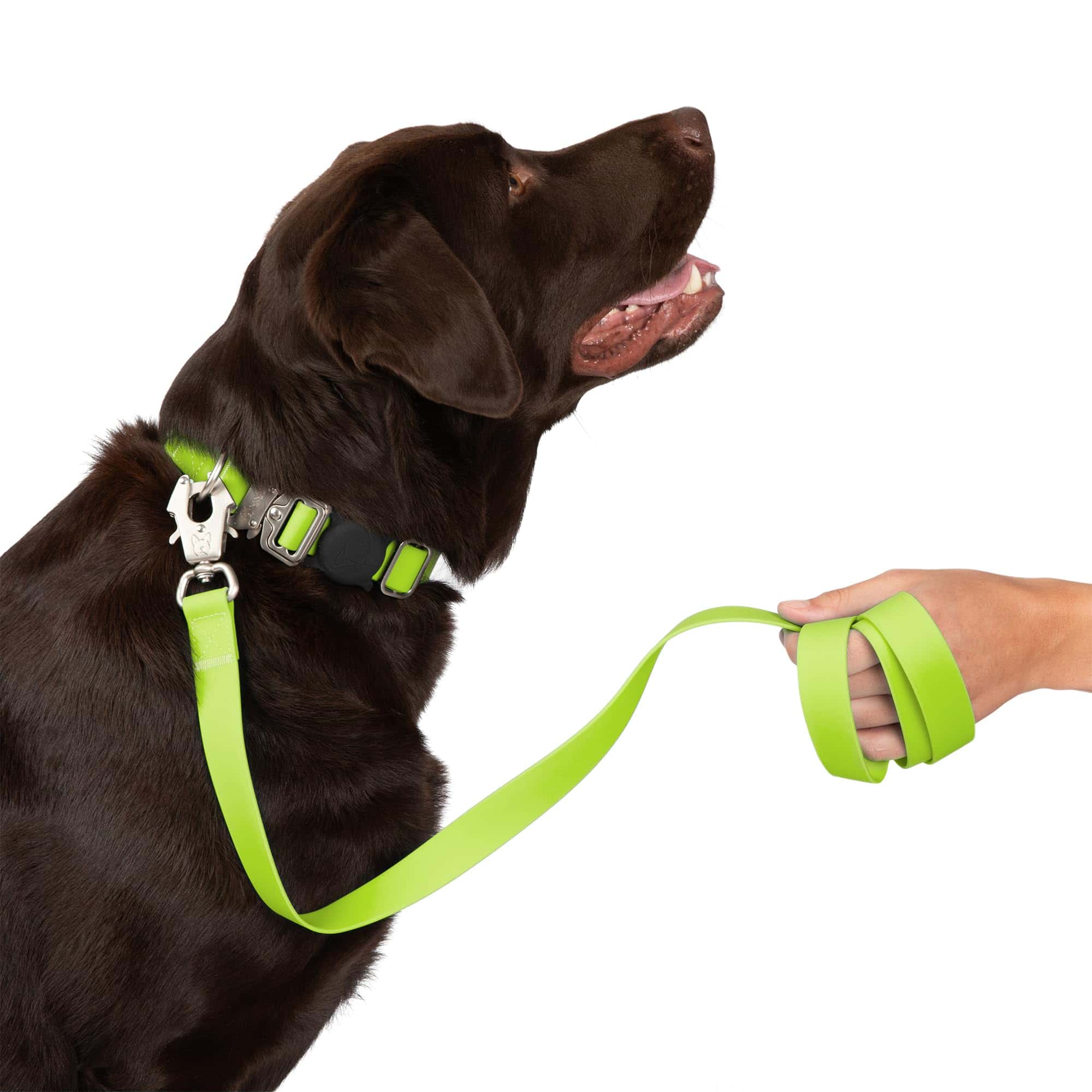 Correa para perros Nandog Pet Gear resistente al agua