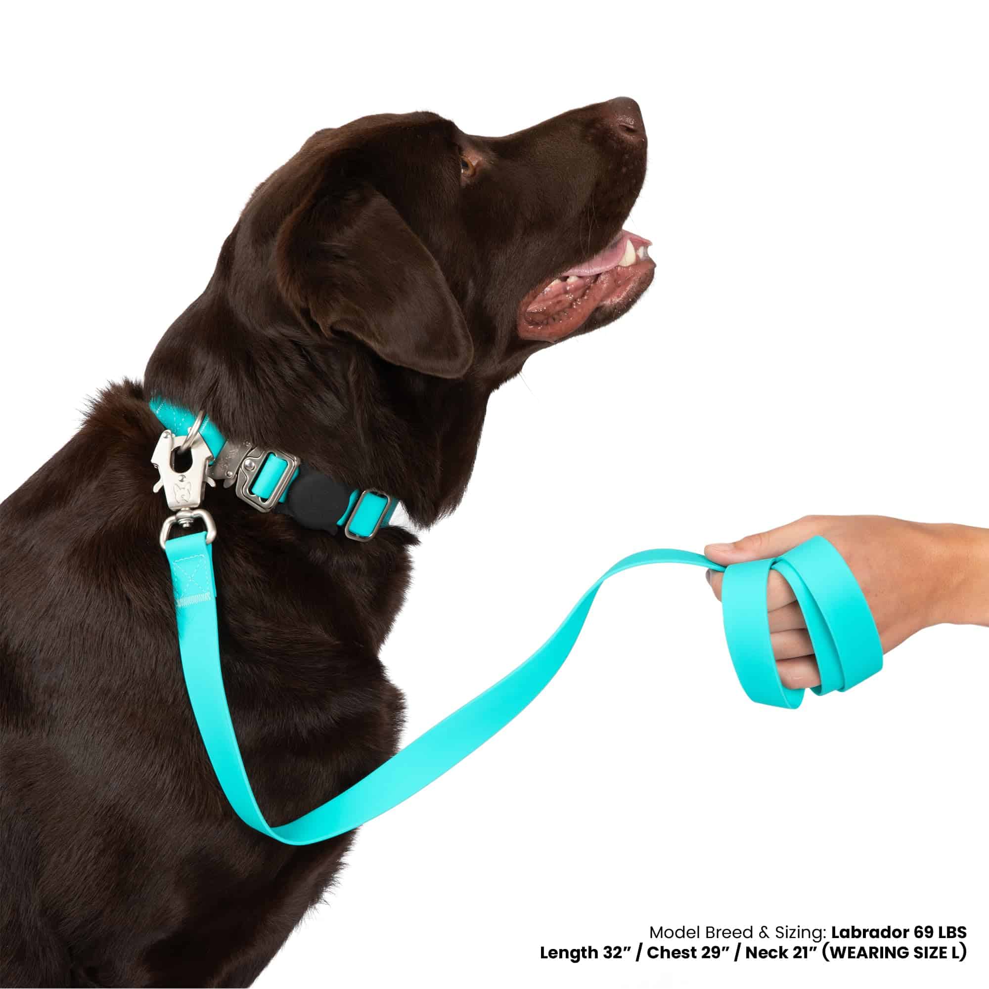 Correa para perros Nandog Pet Gear waterproof Poly-Flex con - Imagen 5