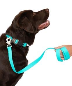 Correa para perros Nandog Pet Gear waterproof Poly-Flex con