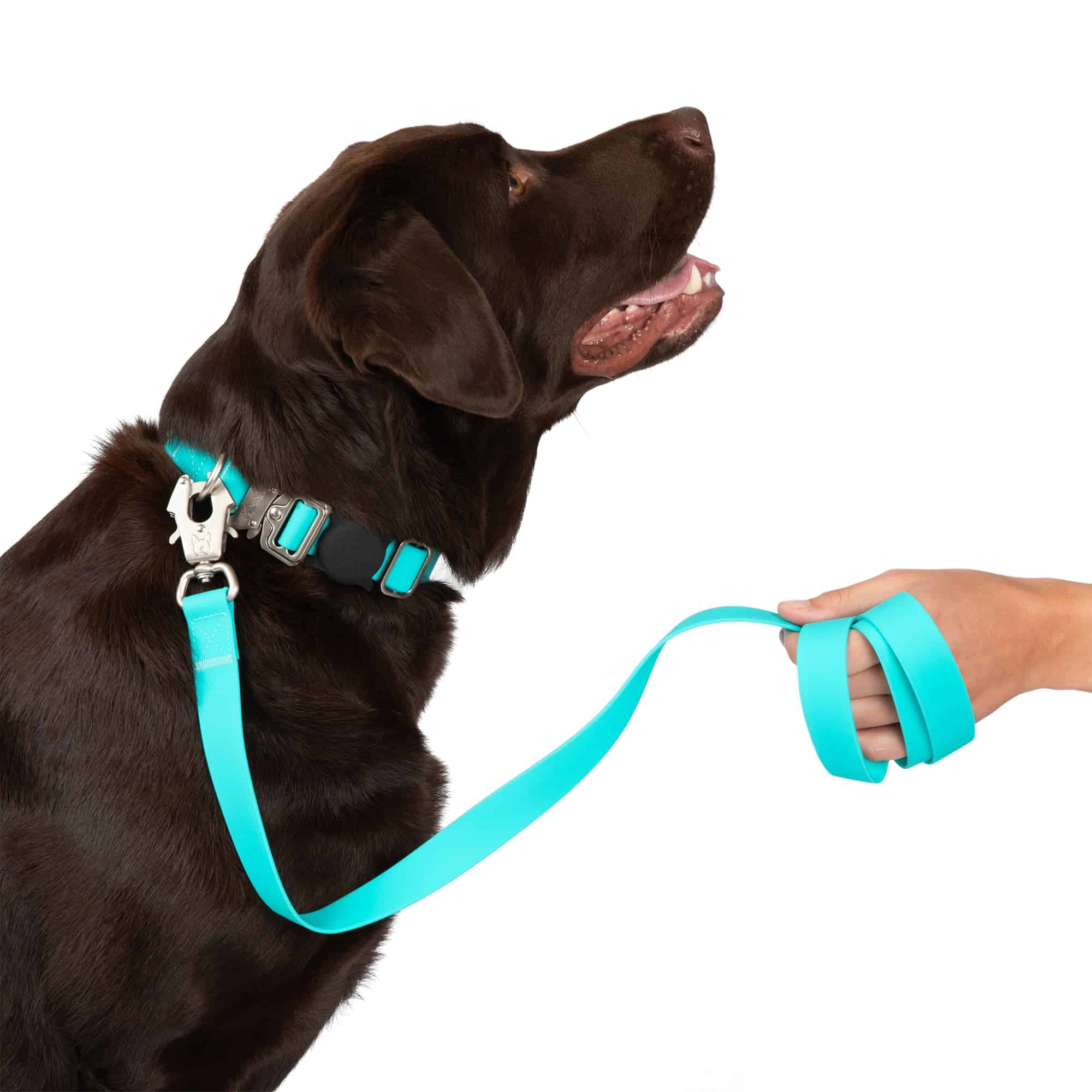 Correa para perros Nandog Pet Gear waterproof Poly-Flex con