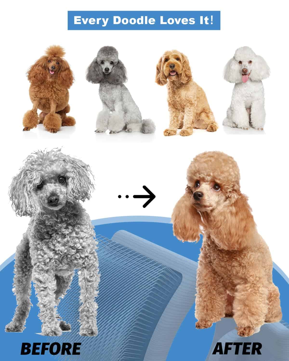 Cepillo Profesional para Perros Petqueen, Cepillo Grande - Imagen 7