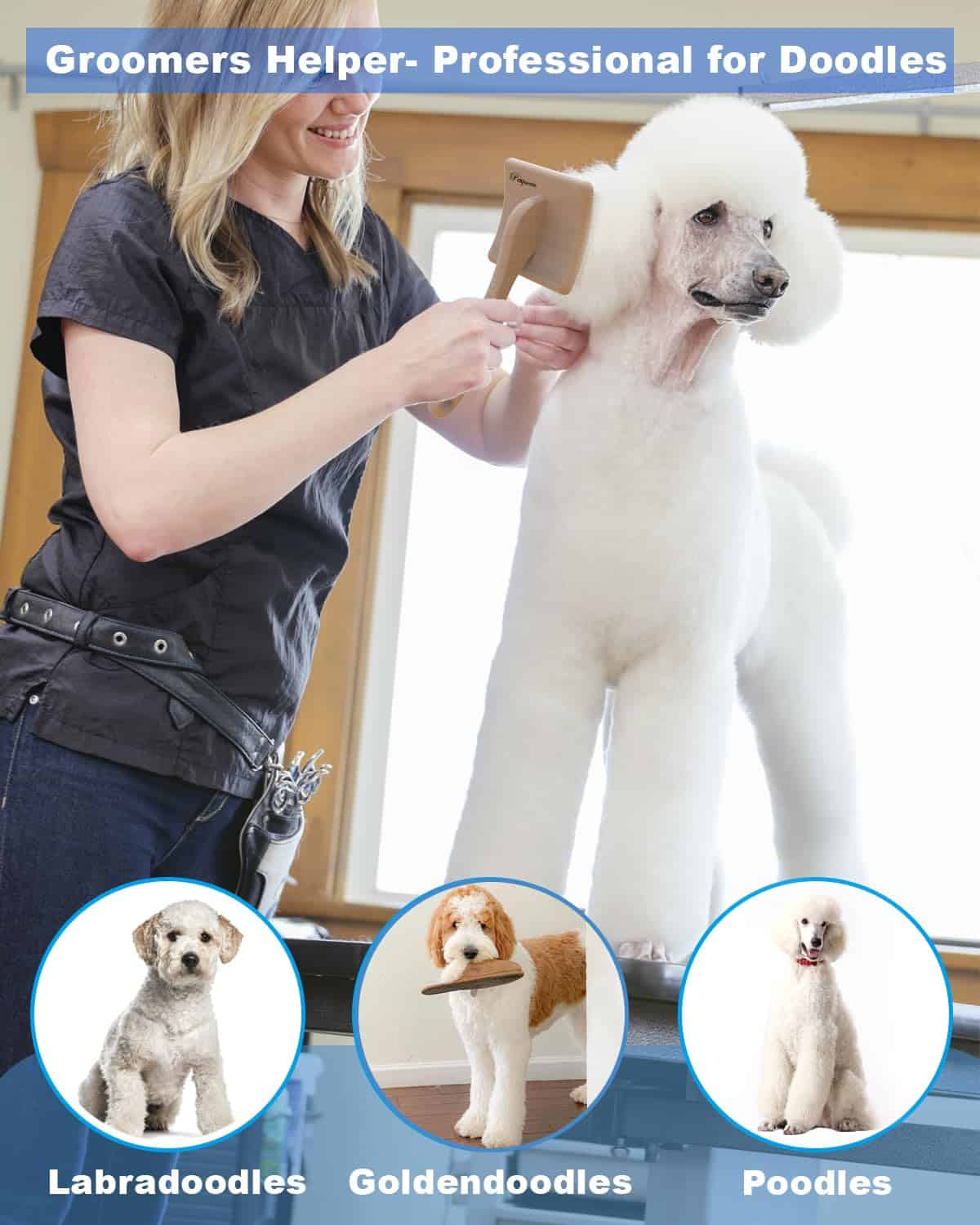 Cepillo Profesional para Perros Petqueen, Cepillo Grande - Imagen 3