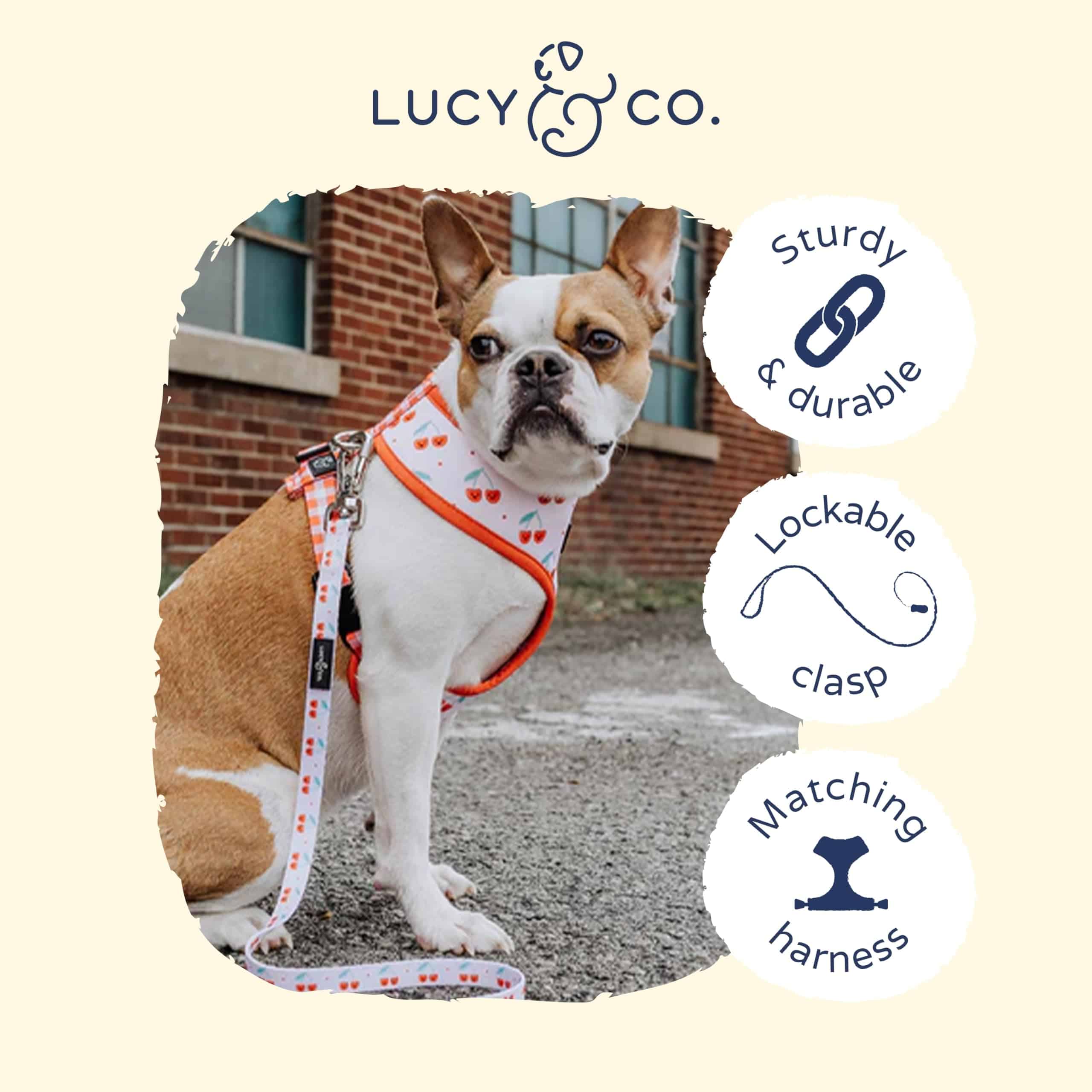 Correa para perros Lucy & Co. Cheery Cherries - Para perros - Imagen 4