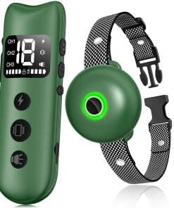 Collar de Adiestramiento para Perros, El Más Nuevo de 2024