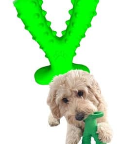 Juguete mordedor dental para perros SINCREX USA - Limpieza