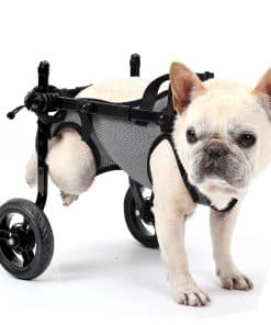 Silla de ruedas para perros pequeños de BECROWM para patas