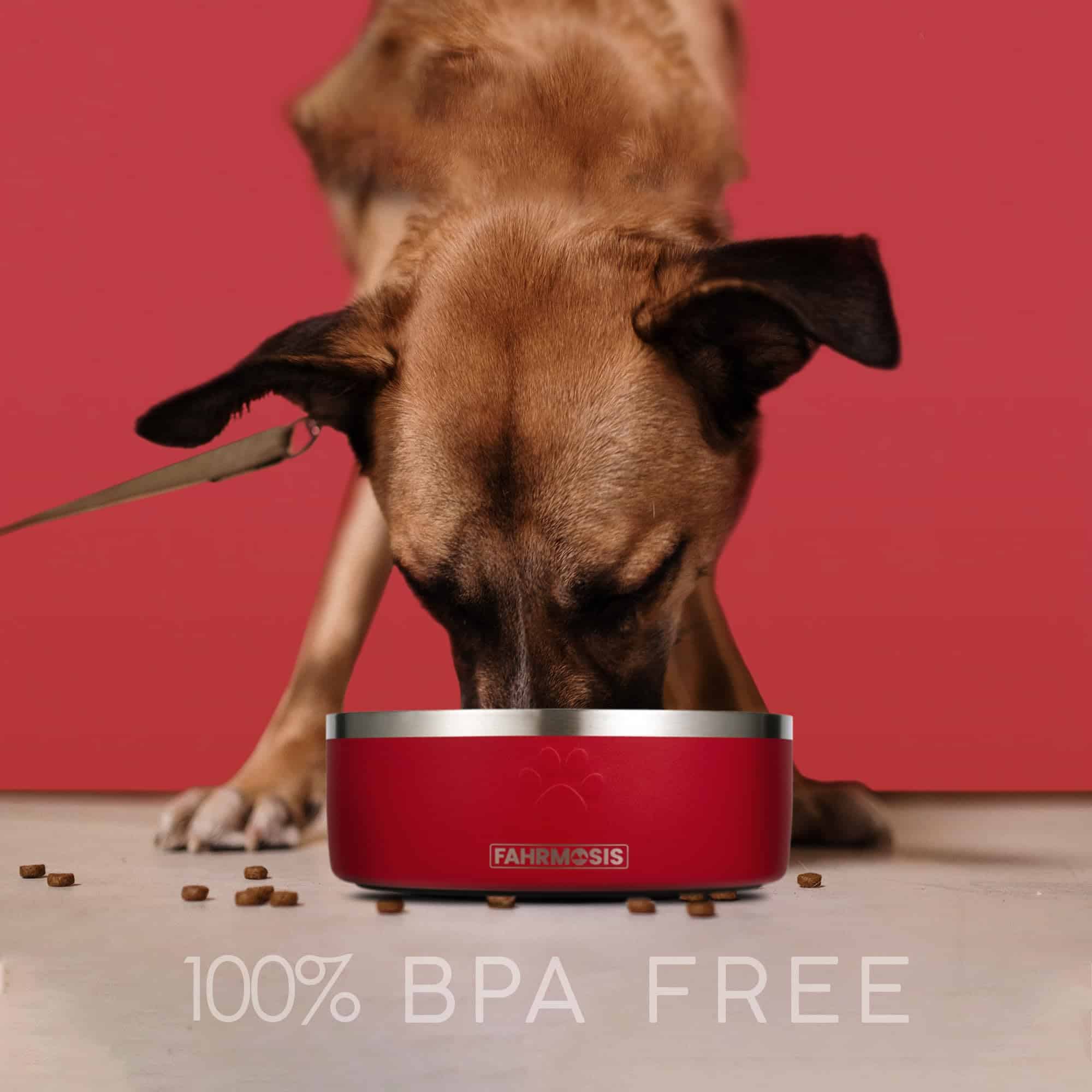 FAHRMOSIS 32 OZ Dog Bowl with Slow Feeder Insert | Tazones - Imagen 6