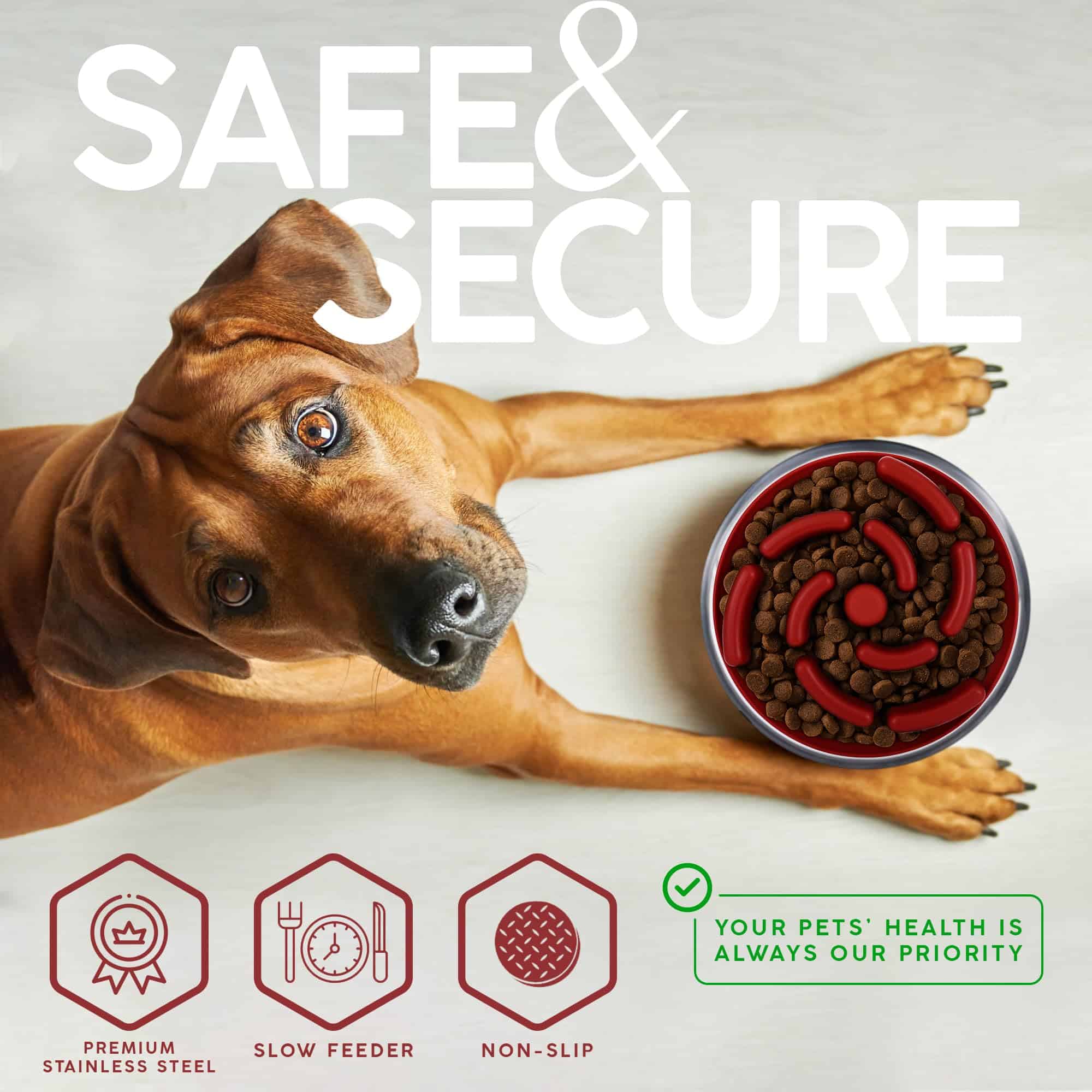 FAHRMOSIS 32 OZ Dog Bowl with Slow Feeder Insert | Tazones - Imagen 5