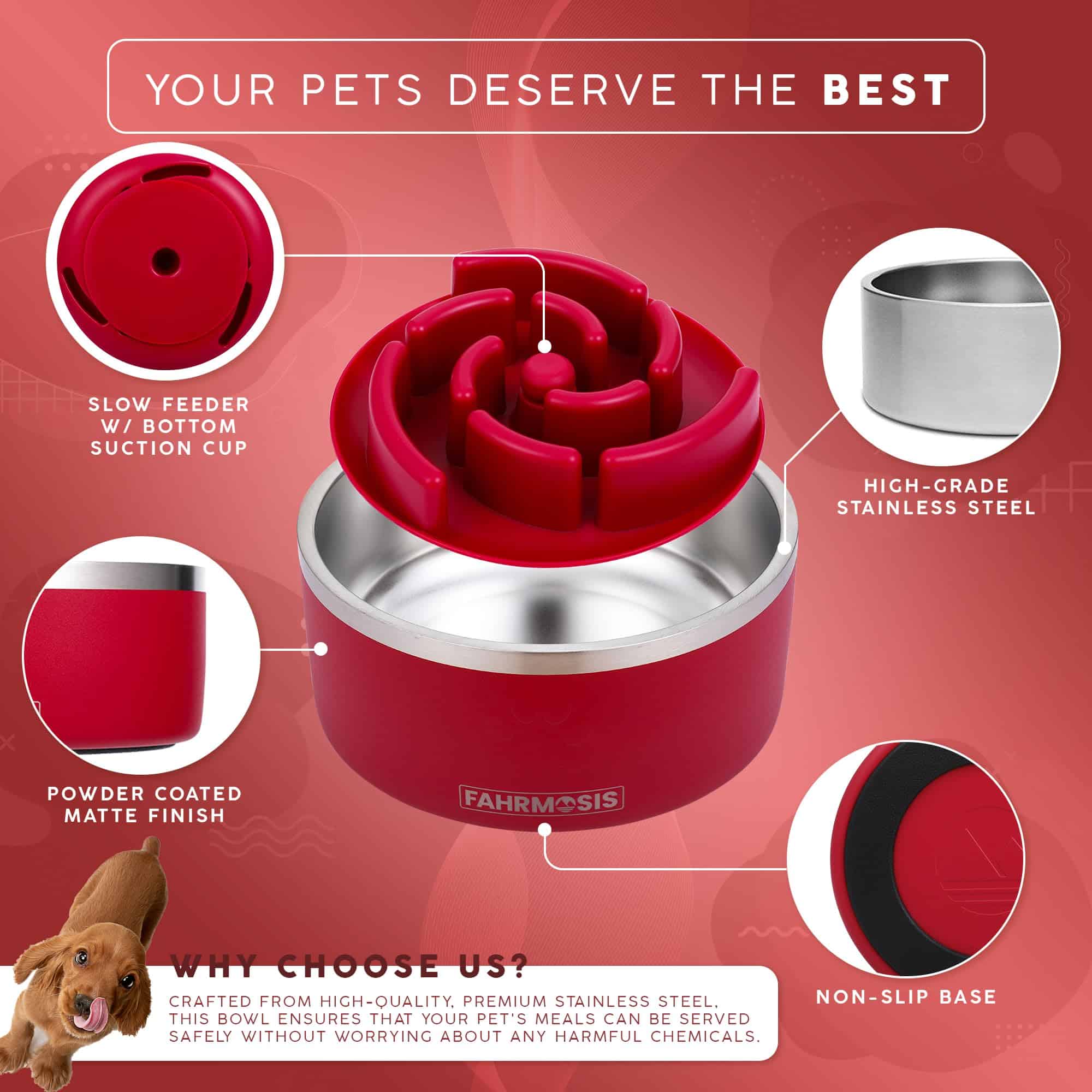 FAHRMOSIS 32 OZ Dog Bowl with Slow Feeder Insert | Tazones - Imagen 3