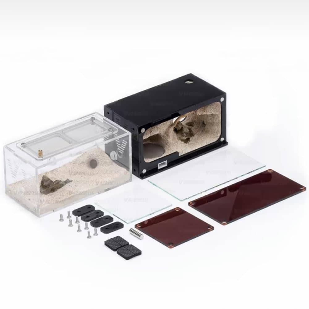 Casa de Hormigas Rimsunta para Adultos con Estudio del - Imagen 9