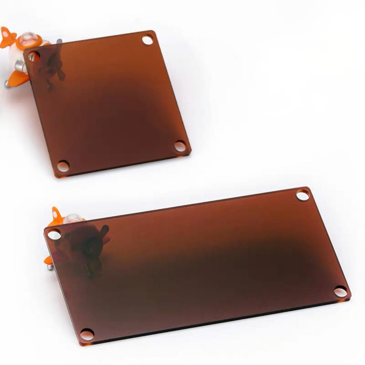 Casa de Hormigas Rimsunta para Adultos con Estudio del - Imagen 4