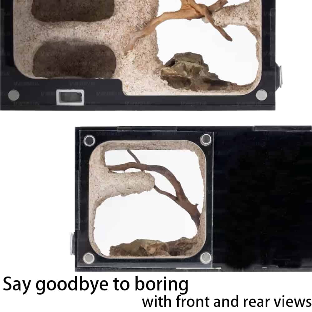 Casa de Hormigas Rimsunta para Adultos con Estudio del - Imagen 3