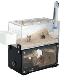 Casa de Hormigas Rimsunta para Adultos con Estudio del