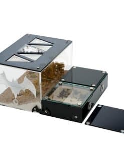 Hormiguero Rimsunta Ant House para adultos Estudio del