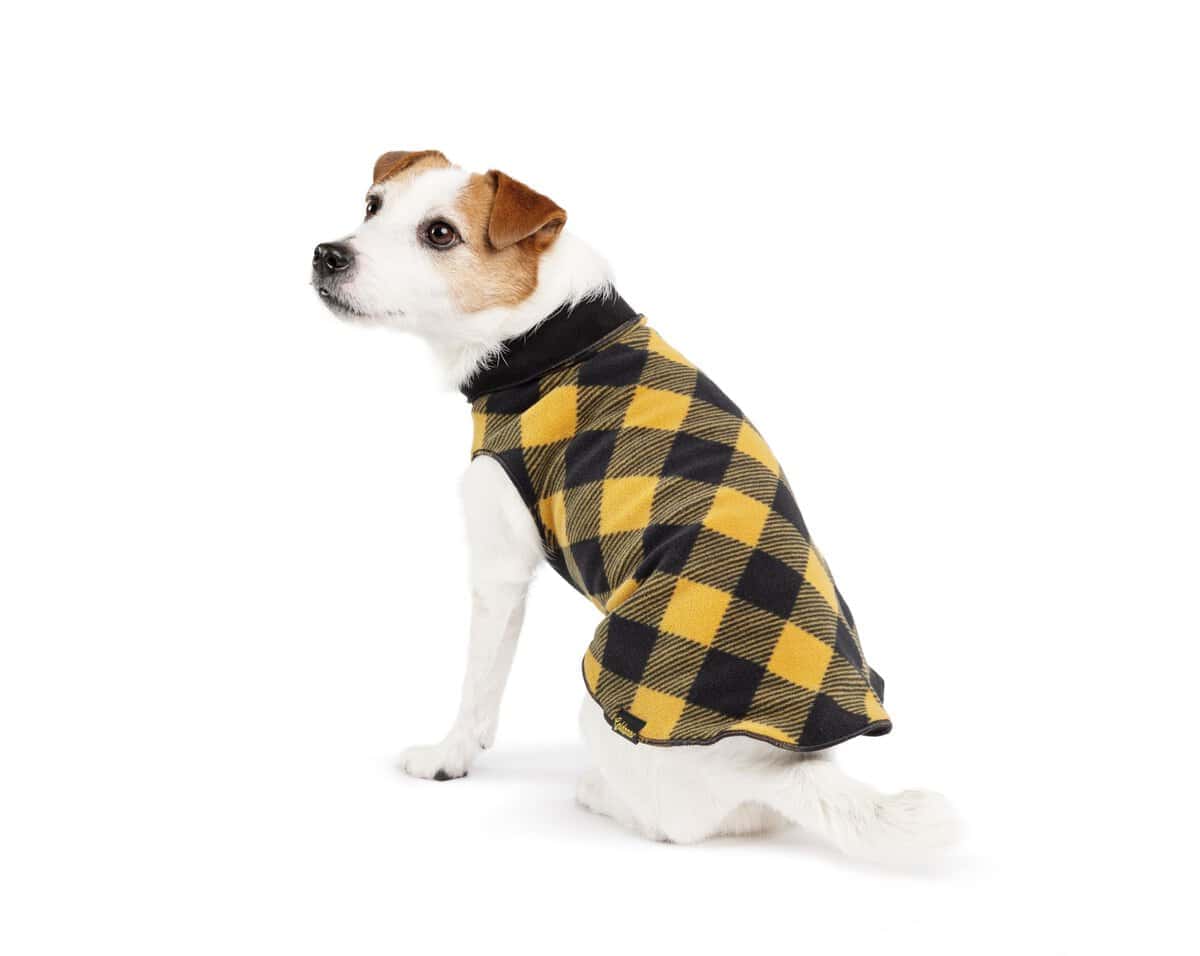Abrigo de Doble Felpa Gold Paw Duluth para Perros - Ropa