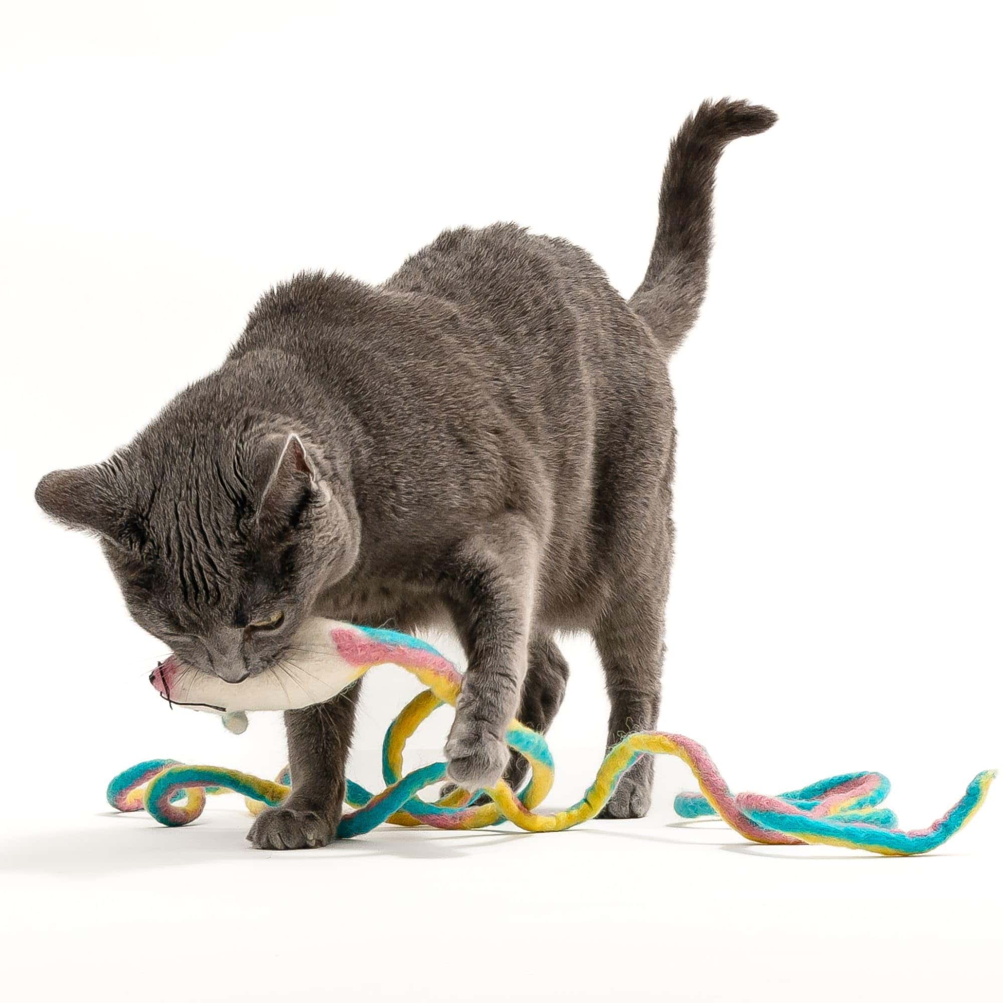 Juguete para gatos Catch a Mouse by The Tail de lana con - Imagen 9