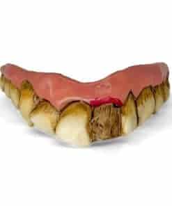 Dientes Falsos Realistas al Estilo de Hollywood Dr. Bukk -